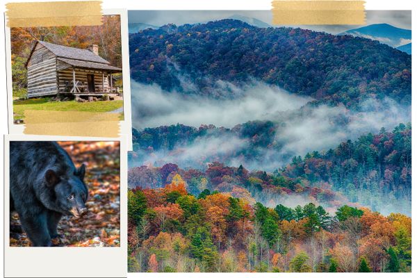 Appalachian landscapes