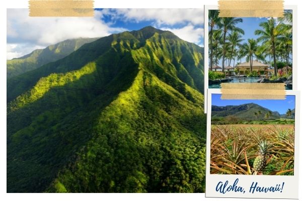Landscapes in Hawaii
