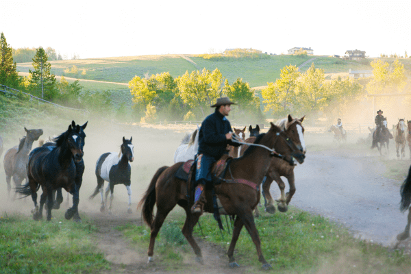 Cowboy adventure trip in the USA