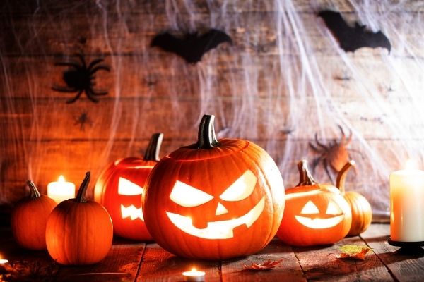 Why Are Black and Orange Halloween Colors? History Behind